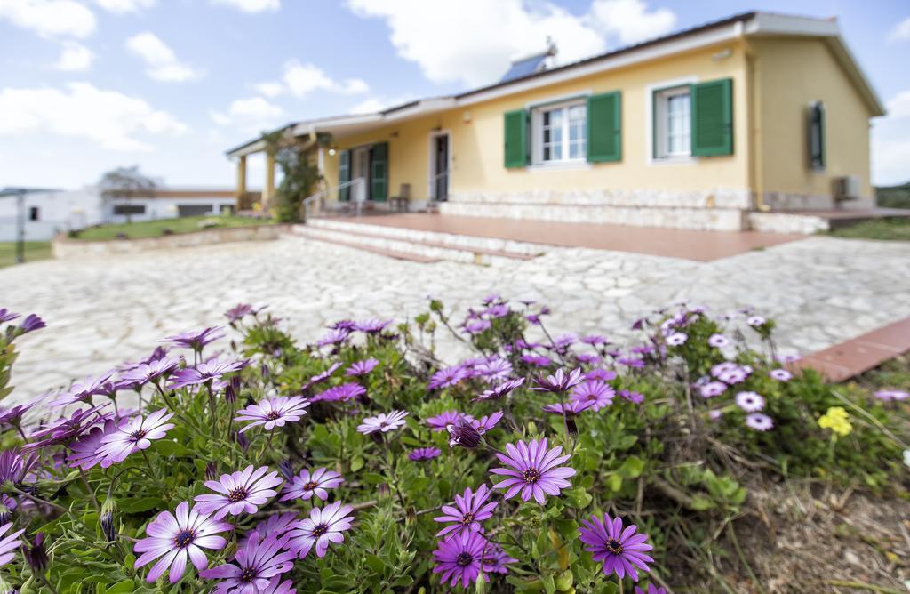 Villa Raimonda Putifigari Ngoại thất bức ảnh